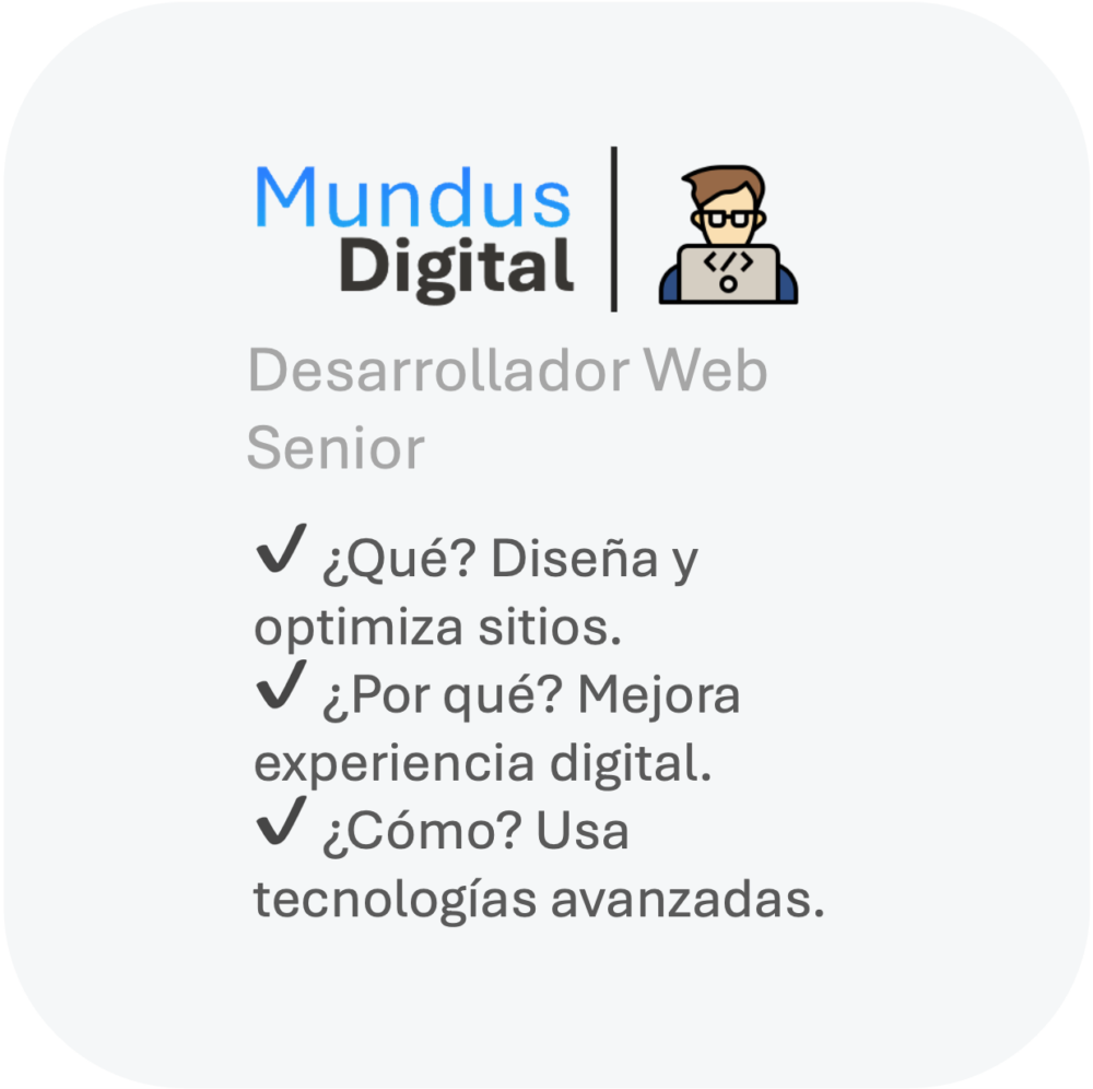 Horas de Desarrollador Web Senior