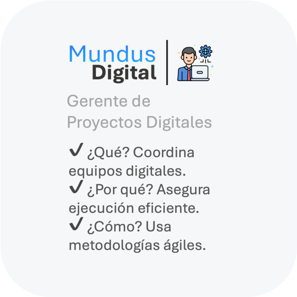 Horas de Gerente de Proyectos Digitales